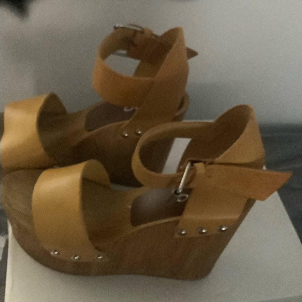 Aldo Brown Platform Wedge Sandals